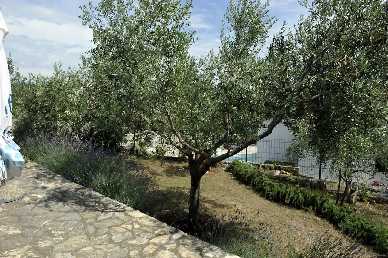 Apartman Branka Kornic